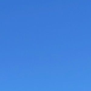 Meet your Posher, Madelyne